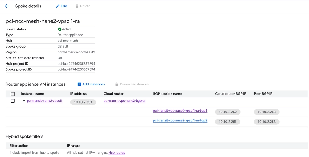 Detailed view for Router Appliance with two BGP sessions